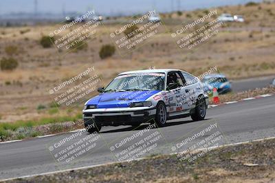 media/May-03-2025-Lucky Dog Racing (Sat) [[206de64b9d]]/Turn 6 (150pm-230pm)/